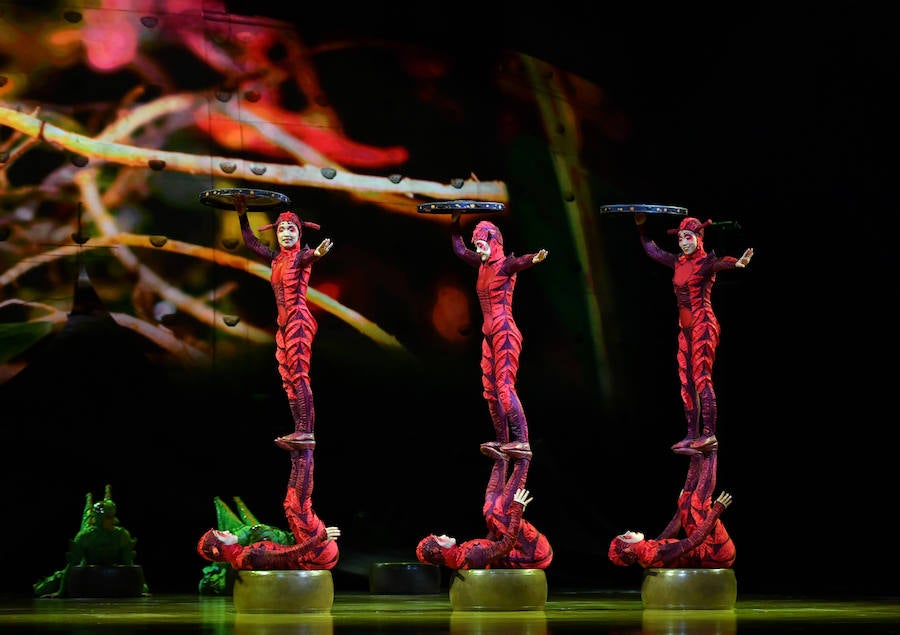 'La Verdad' acompaña a los artistas de la mítica compañía canadiense en una jornada de duro entrenamiento 'Ovo', la nueva apuesta del Circo del Sol, recalará en Murcia del 16 al 20 de enero