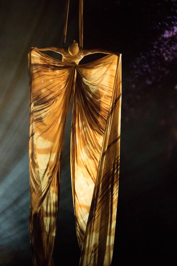 'La Verdad' acompaña a los artistas de la mítica compañía canadiense en una jornada de duro entrenamiento 'Ovo', la nueva apuesta del Circo del Sol, recalará en Murcia del 16 al 20 de enero