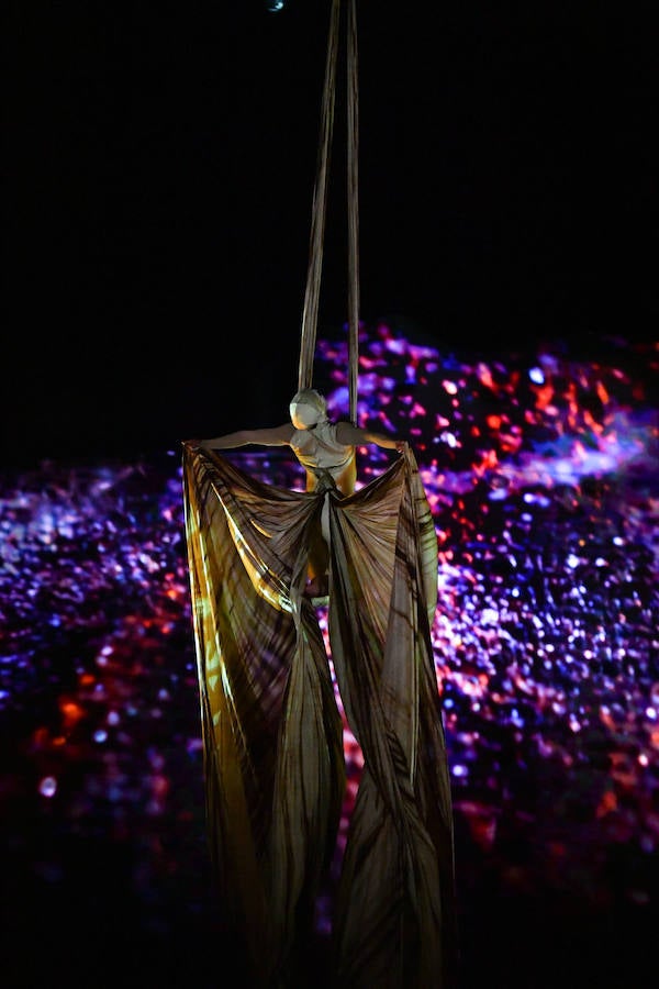 'La Verdad' acompaña a los artistas de la mítica compañía canadiense en una jornada de duro entrenamiento 'Ovo', la nueva apuesta del Circo del Sol, recalará en Murcia del 16 al 20 de enero