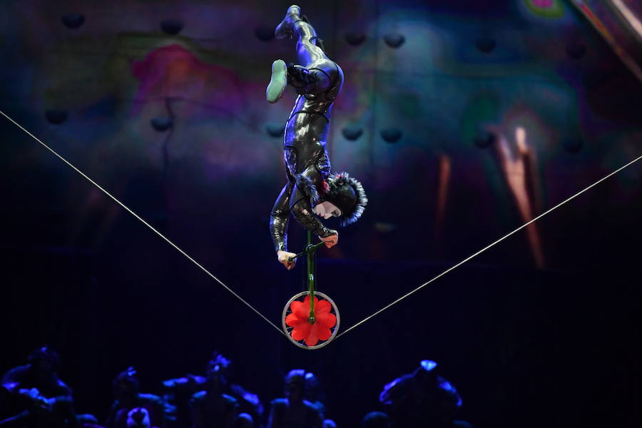 'La Verdad' acompaña a los artistas de la mítica compañía canadiense en una jornada de duro entrenamiento 'Ovo', la nueva apuesta del Circo del Sol, recalará en Murcia del 16 al 20 de enero