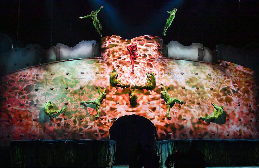 'La Verdad' acompaña a los artistas de la mítica compañía canadiense en una jornada de duro entrenamiento 'Ovo', la nueva apuesta del Circo del Sol, recalará en Murcia del 16 al 20 de enero