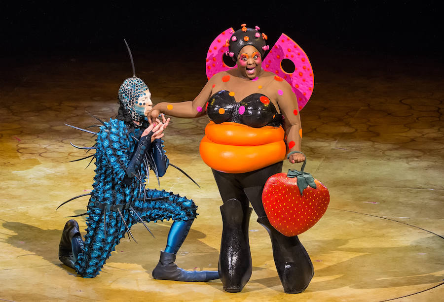 'La Verdad' acompaña a los artistas de la mítica compañía canadiense en una jornada de duro entrenamiento 'Ovo', la nueva apuesta del Circo del Sol, recalará en Murcia del 16 al 20 de enero