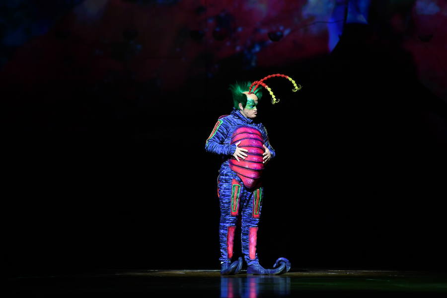 'La Verdad' acompaña a los artistas de la mítica compañía canadiense en una jornada de duro entrenamiento 'Ovo', la nueva apuesta del Circo del Sol, recalará en Murcia del 16 al 20 de enero