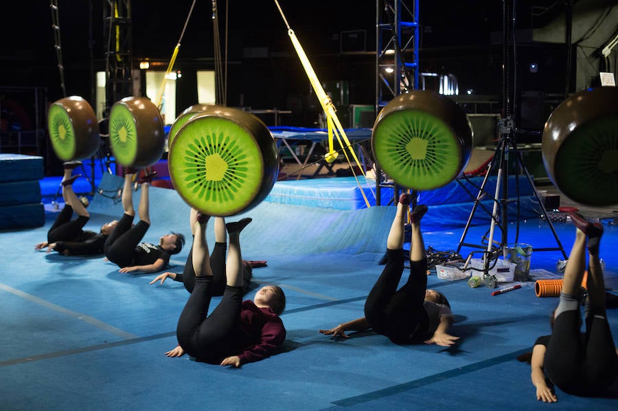'La Verdad' acompaña a los artistas de la mítica compañía canadiense en una jornada de duro entrenamiento 'Ovo', la nueva apuesta del Circo del Sol, recalará en Murcia del 16 al 20 de enero