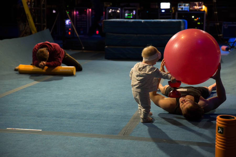 'La Verdad' acompaña a los artistas de la mítica compañía canadiense en una jornada de duro entrenamiento 'Ovo', la nueva apuesta del Circo del Sol, recalará en Murcia del 16 al 20 de enero