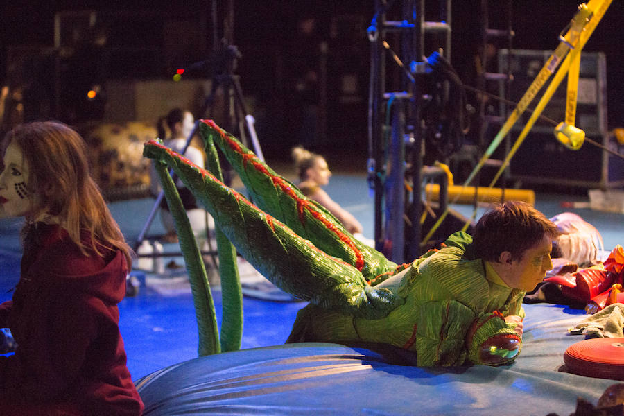 'La Verdad' acompaña a los artistas de la mítica compañía canadiense en una jornada de duro entrenamiento 'Ovo', la nueva apuesta del Circo del Sol, recalará en Murcia del 16 al 20 de enero