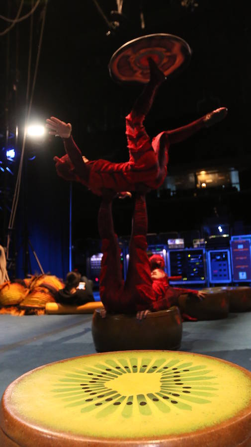 'La Verdad' acompaña a los artistas de la mítica compañía canadiense en una jornada de duro entrenamiento 'Ovo', la nueva apuesta del Circo del Sol, recalará en Murcia del 16 al 20 de enero