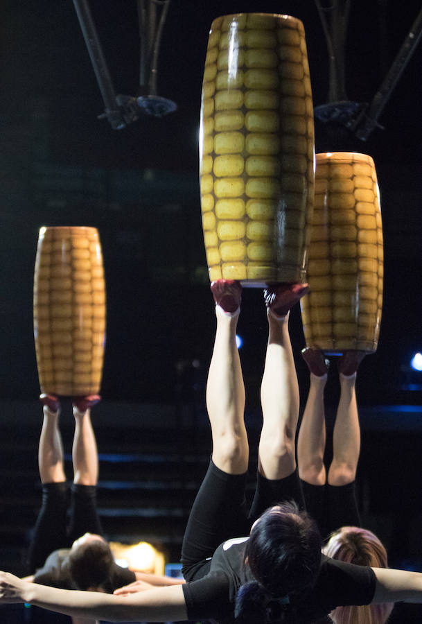 'La Verdad' acompaña a los artistas de la mítica compañía canadiense en una jornada de duro entrenamiento 'Ovo', la nueva apuesta del Circo del Sol, recalará en Murcia del 16 al 20 de enero