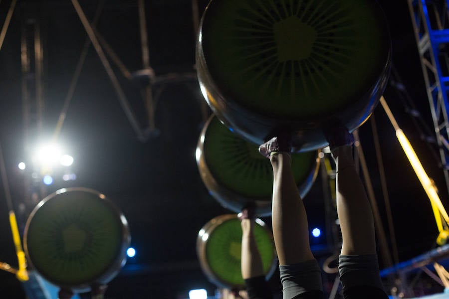 'La Verdad' acompaña a los artistas de la mítica compañía canadiense en una jornada de duro entrenamiento 'Ovo', la nueva apuesta del Circo del Sol, recalará en Murcia del 16 al 20 de enero
