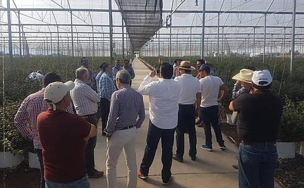 Misión comercial a México.