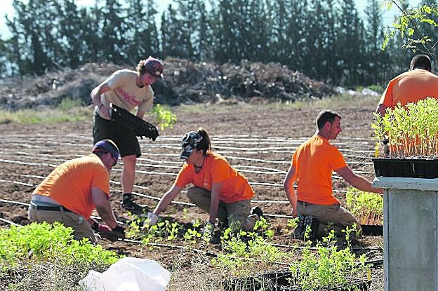 Miembros de CEOM realizan una plantación de quinoa en los viveros del Mayayo. 