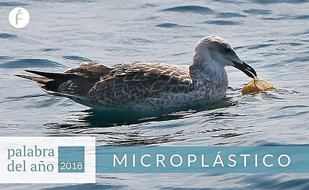 Microplástico (hay que decirlo más)