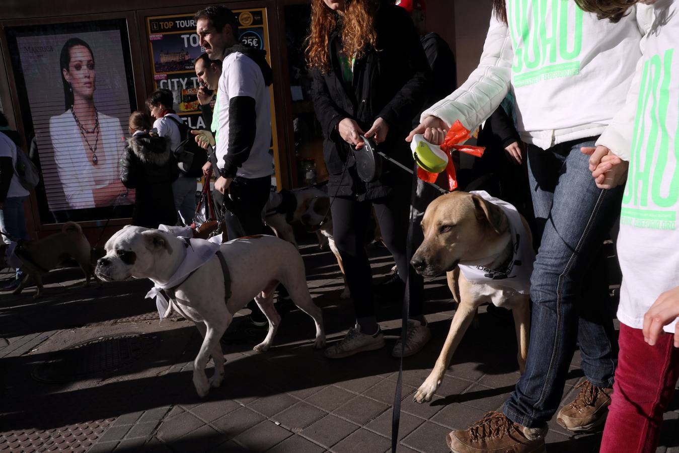Varias personas con sus perros participan en la octava edición de la Sanperrestre, una iniciativa promovida por la protectora El Refugio que pretende concienciar sobre la importancia de adoptar mascotas en lugar de comprarlas.