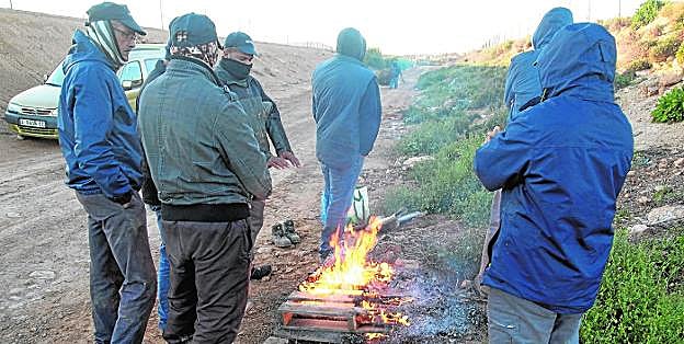 Varios jornaleros se calientan en una hoguera improvisada para empezar a faenar, ayer, en el Campo de Cartagena. 