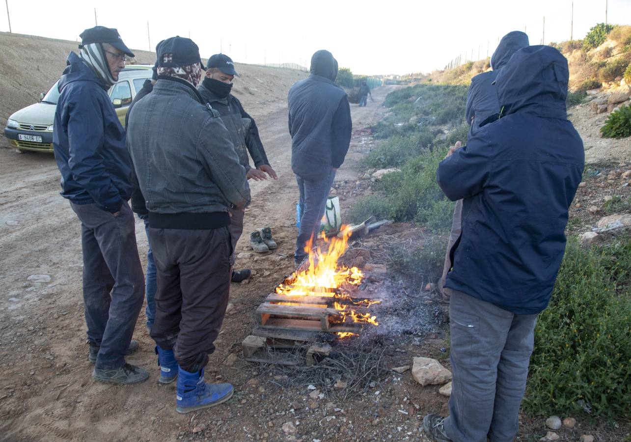 La Aemet mantiene la alerta amarilla para hoy en el Noroeste y el Altiplano, donde las temperaturas gélidas no provocaron pérdidas