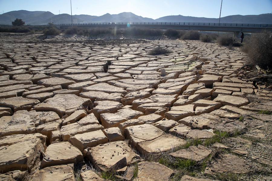 Así lo anunció Cartagena Sí Se Puede tras las labores del Gobierno regional y del Ayuntamiento en estos terrenos contaminados