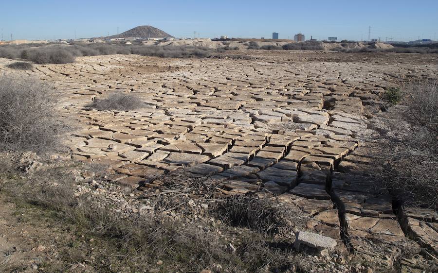 Así lo anunció Cartagena Sí Se Puede tras las labores del Gobierno regional y del Ayuntamiento en estos terrenos contaminados