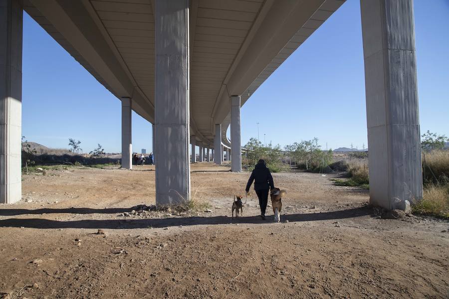 Así lo anunció Cartagena Sí Se Puede tras las labores del Gobierno regional y del Ayuntamiento en estos terrenos contaminados