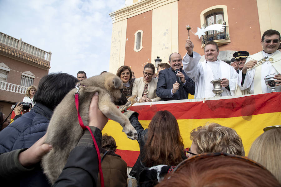 Este jueves tuvo lugar la Diana Floreada, la Misa Solemne y la tradicional bendición de los animales en la Plaza de la Iglesia