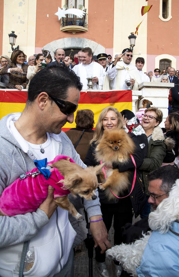 Este jueves tuvo lugar la Diana Floreada, la Misa Solemne y la tradicional bendición de los animales en la Plaza de la Iglesia