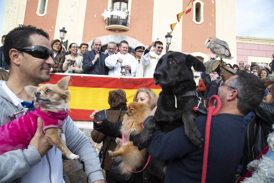 Este jueves tuvo lugar la Diana Floreada, la Misa Solemne y la tradicional bendición de los animales en la Plaza de la Iglesia