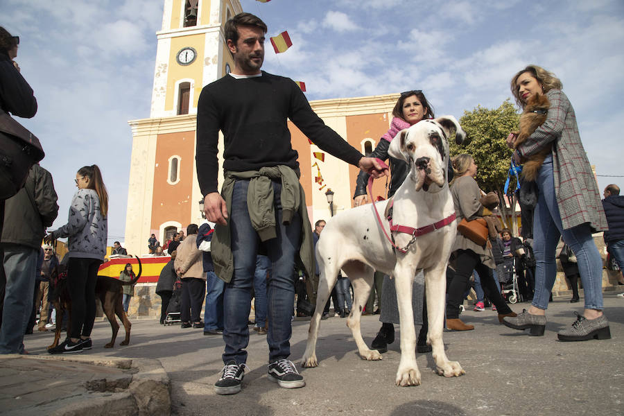 Este jueves tuvo lugar la Diana Floreada, la Misa Solemne y la tradicional bendición de los animales en la Plaza de la Iglesia