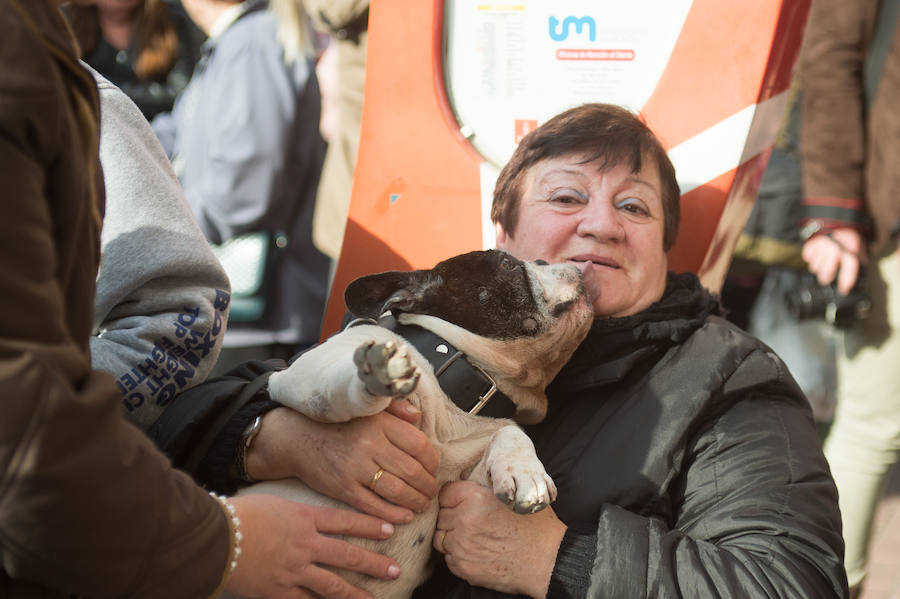 La ermita de San Antón acogió a un centenar de murcianos que llevaron a sus mascotas para que fueran regadas con agua bendita por el padre Jorge Rodríguez