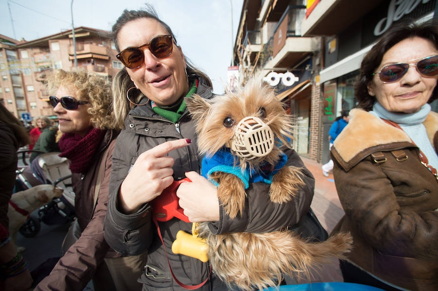 La ermita de San Antón acogió a un centenar de murcianos que llevaron a sus mascotas para que fueran regadas con agua bendita por el padre Jorge Rodríguez