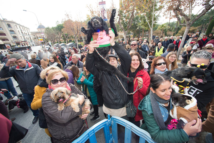 La ermita de San Antón acogió a un centenar de murcianos que llevaron a sus mascotas para que fueran regadas con agua bendita por el padre Jorge Rodríguez