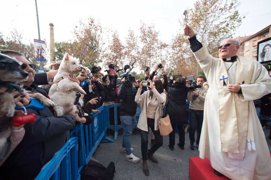 La ermita de San Antón acogió a un centenar de murcianos que llevaron a sus mascotas para que fueran regadas con agua bendita por el padre Jorge Rodríguez