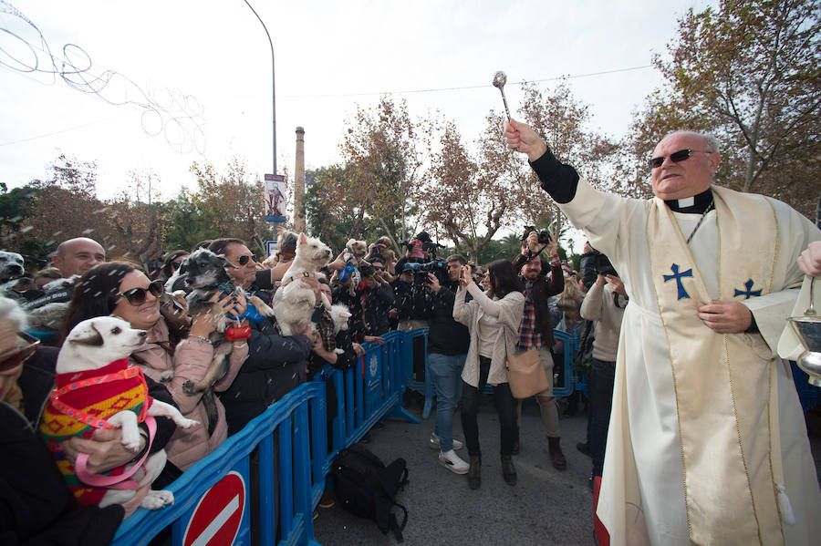 La ermita de San Antón acogió a un centenar de murcianos que llevaron a sus mascotas para que fueran regadas con agua bendita por el padre Jorge Rodríguez