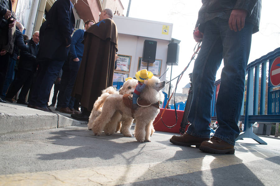 La ermita de San Antón acogió a un centenar de murcianos que llevaron a sus mascotas para que fueran regadas con agua bendita por el padre Jorge Rodríguez