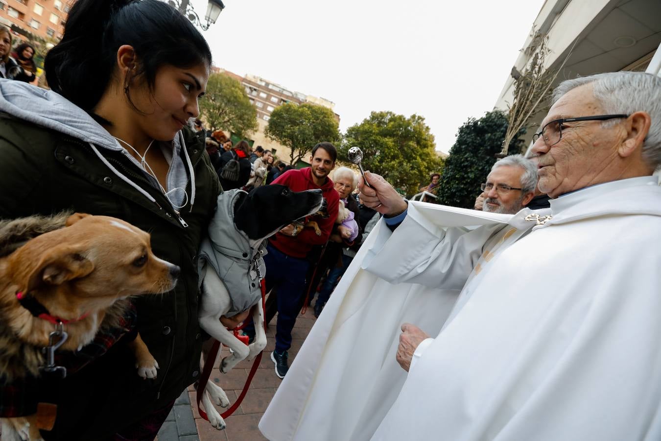 Las mascotas de Molina reciben la bendición de San Antón.