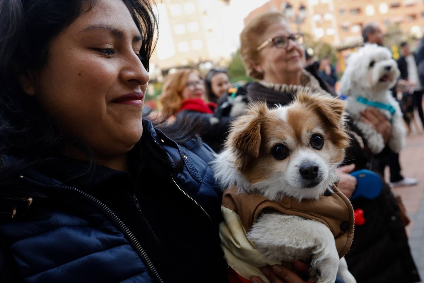 Las mascotas de Molina reciben la bendición de San Antón.