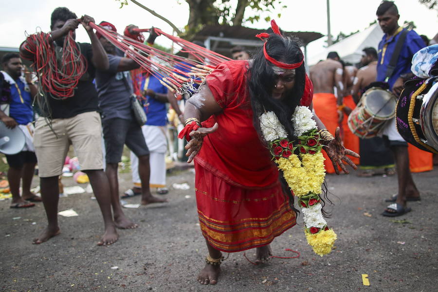 Los devotos del dios hindú Murugan celebran el Taipusam. Es un festival importante de la comunidad Tamil. Los devotos llevan kavadi, o cargas físicas, y participan en una larga procesión, a menudo comenzando antes del amanecer, para honrar al dios hindú Murugan y pedir favores o perdón.