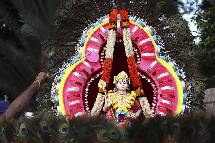 Los devotos del dios hindú Murugan celebran el Taipusam. Es un festival importante de la comunidad Tamil. Los devotos llevan kavadi, o cargas físicas, y participan en una larga procesión, a menudo comenzando antes del amanecer, para honrar al dios hindú Murugan y pedir favores o perdón.