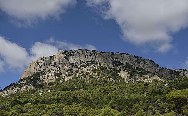 Vista del Morrón de Espuña, una de las masas forestales de la Región para la que Medio Natural aspira a conseguir la declaración de Parque Nacional. 