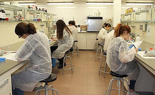 Imagen de la pasada edición de las Olimpiadas Científicas celebradas en el Campus de Los Jerónimos.