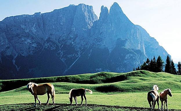 Vista de los Alpes italianos. 