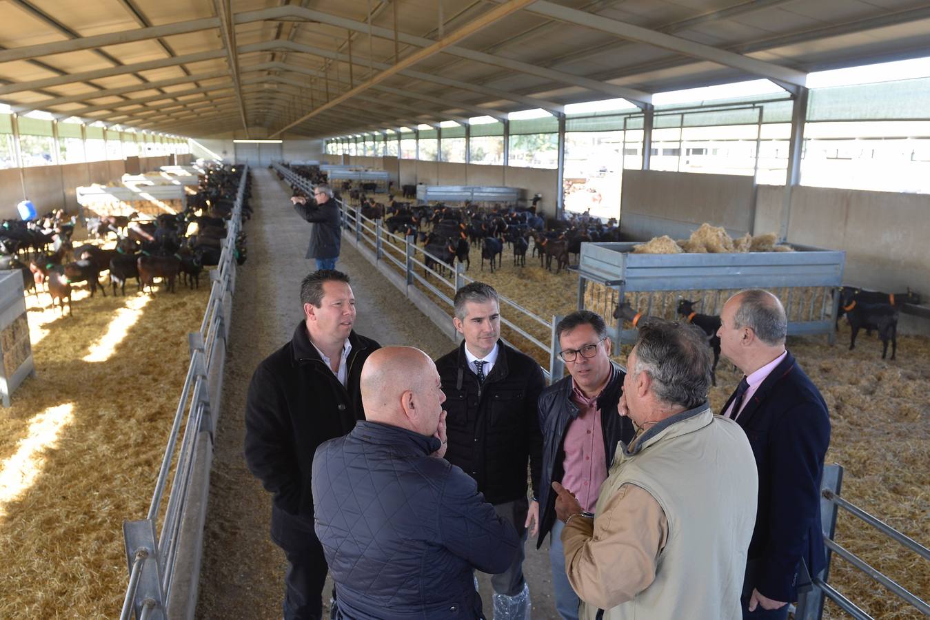 El consejero de Agua, Agricultura y Ganadería, Miguel Ángel del Amor, ha visitado la granja caprina Kpra de Mula que es la más grande de la Región con 3.500 cabras de la raza murciano-granadina