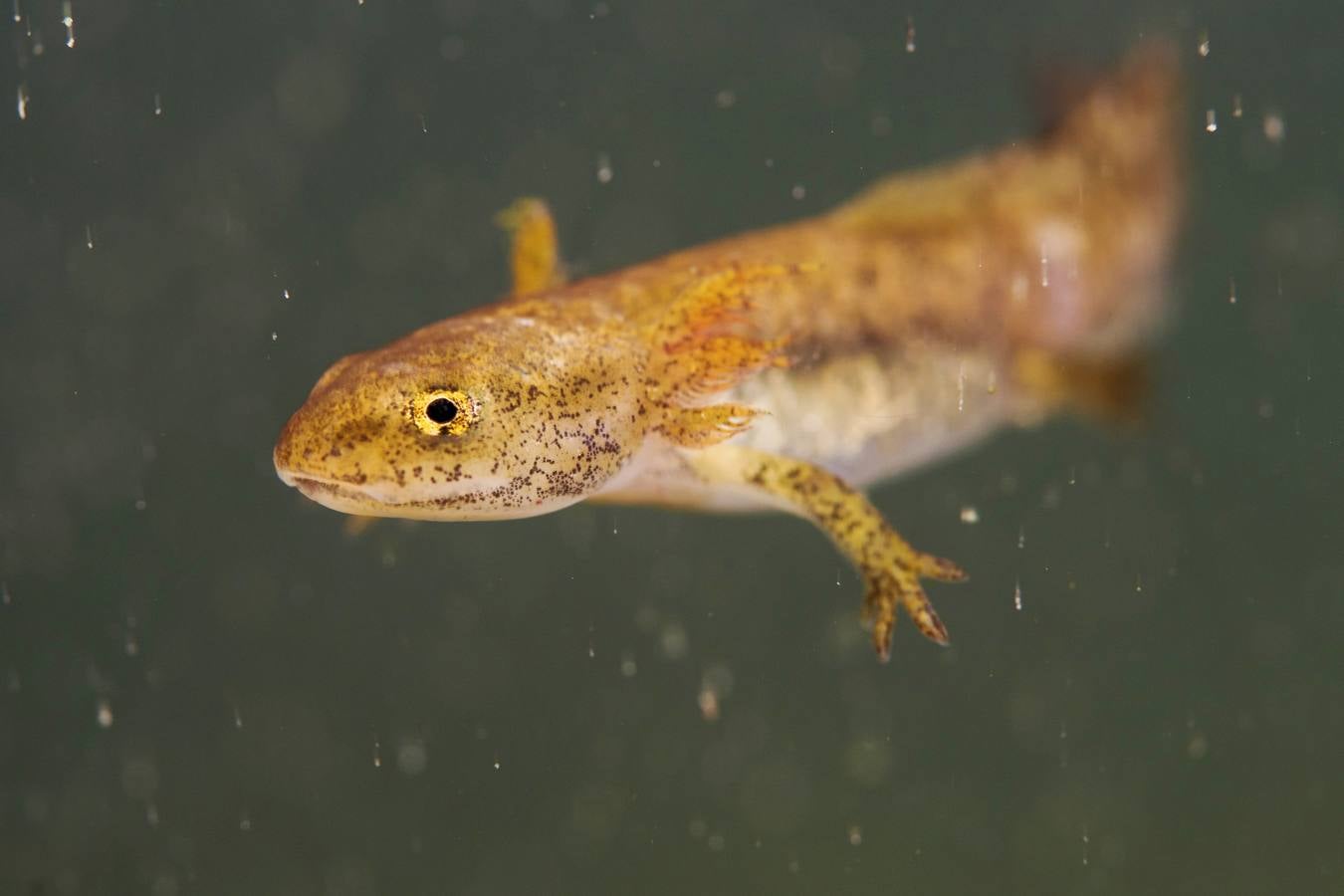 Columbares filmará un documental para divulgar las reservas fluviales de la cuenca hidrográfica