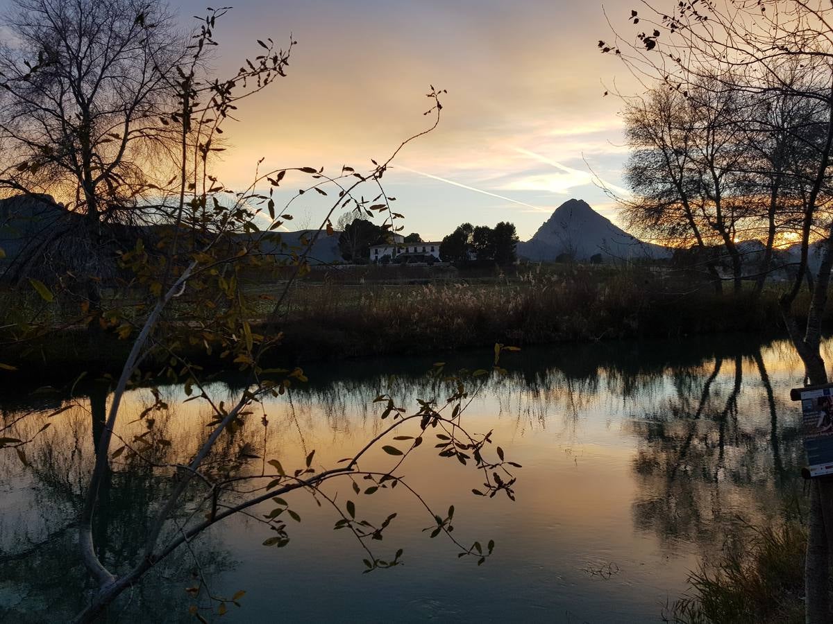 El bosque de galería cubrirá amplios tramos de las riberas del río en pocos años