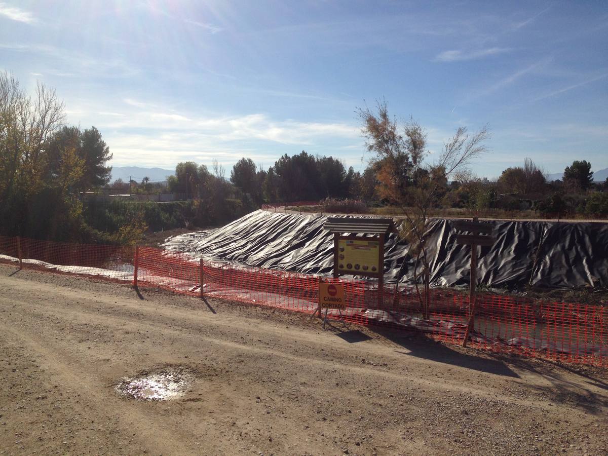 El bosque de galería cubrirá amplios tramos de las riberas del río en pocos años