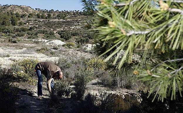 Paco de Lara en la Finca Torrecillas.