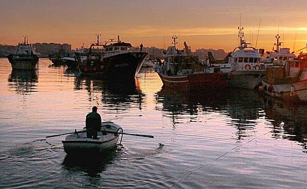 Barcos pesqueros en el puerto de Almería. 