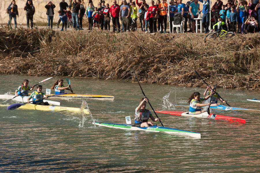 La Regata Ciudad de Murcia rompe su techo con setecientos palistas, barcos dragón y participantes de prestigio.