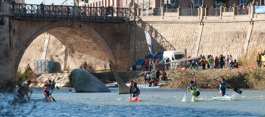 La Regata Ciudad de Murcia rompe su techo con setecientos palistas, barcos dragón y participantes de prestigio.