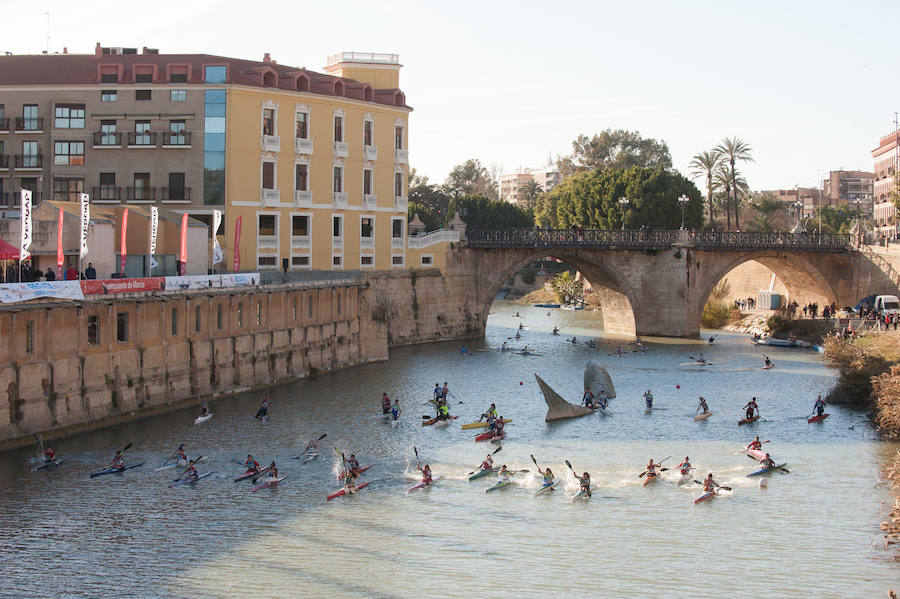 La Regata Ciudad de Murcia rompe su techo con setecientos palistas, barcos dragón y participantes de prestigio.