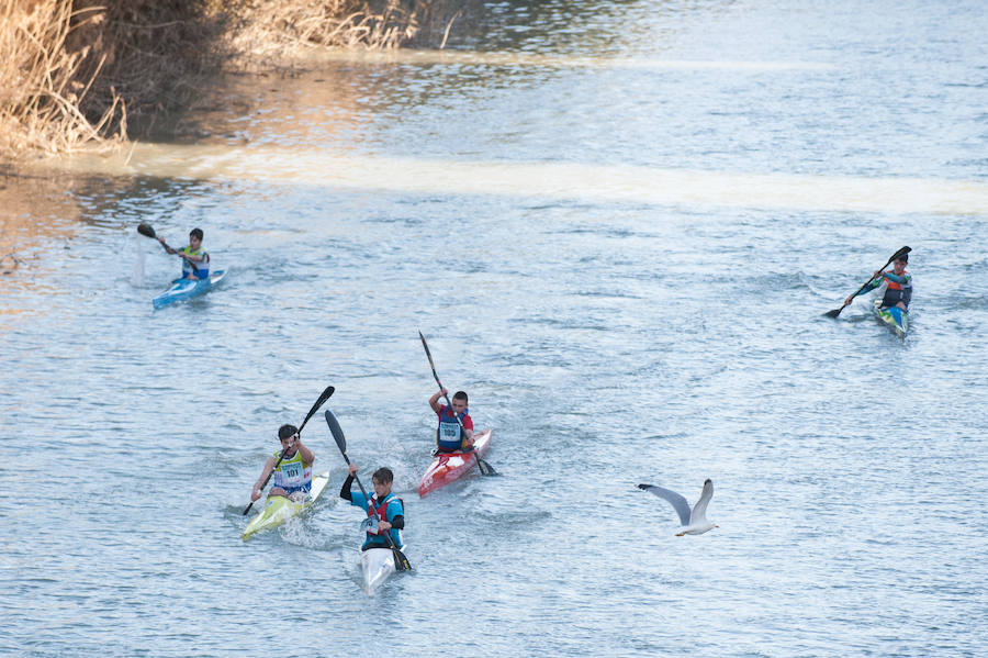 La Regata Ciudad de Murcia rompe su techo con setecientos palistas, barcos dragón y participantes de prestigio.