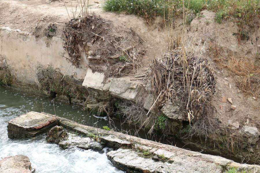 La Asociación para la Conservación de la Huerta y el Patrimonio de Murcia (Huermur) denuncia el abandono del histórico Molino de la Pólvora sobre la acequia mayor de Aljufía, en plena huerta de Murcia y entre las pedanías de Rincón de Beniscornia y Guadalupe.